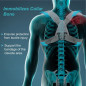 Tynor Clavicle Brace with Buckle C-04 | Posture Support | Collarbone Fracture Aid | Comfortable & Adjustable Back Support Tynor Clavicle Brace with Buckle C-04 | Posture Support | Collarbone Fracture Aid | Comfortable & Adjustable Back Support