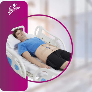Flamingo Pelvic Binder OC 2116 – Pelvic Support Belt