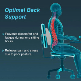 Tynor Lumbo-Back Rest L-91 Orthopaedic Support