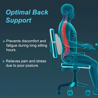 Tynor Lumbo-Back Rest L-91 Orthopaedic Support