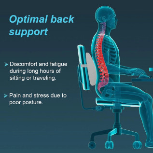 Tynor Lumbo-Back Rest Urbane L-92 Orthopedic Support for Office, Car & Home | Posture Correction & Back Pain Relief